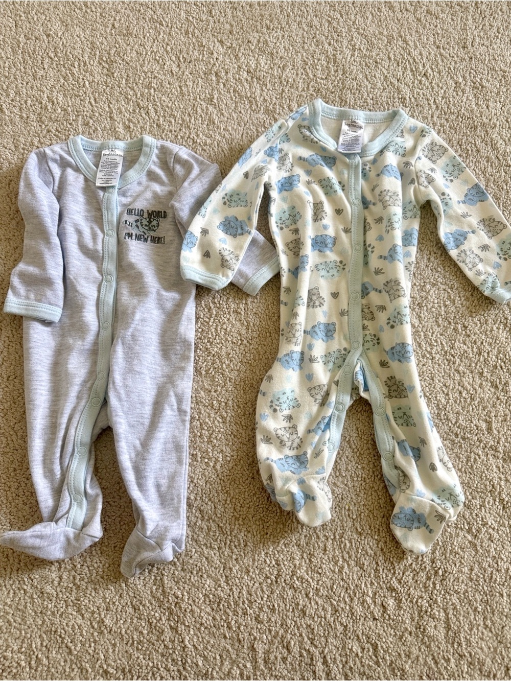 Bundle Set of 2 Onesies